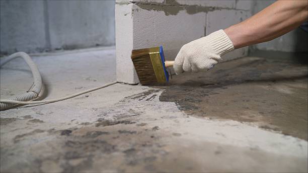 Top rated local Waterproofing specialists in Fort Belvoir, VA